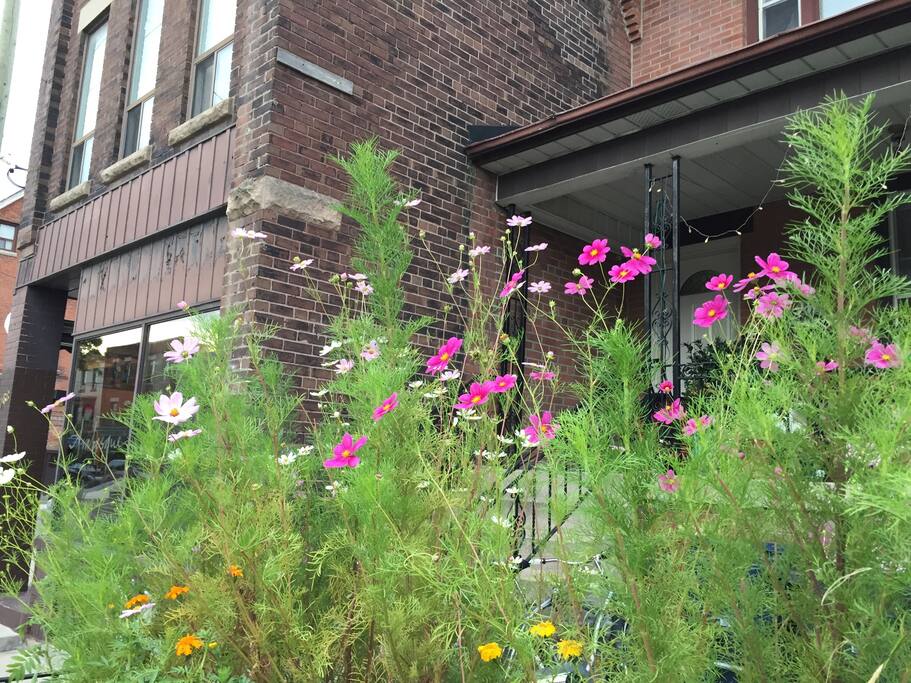 Our front yard garden.