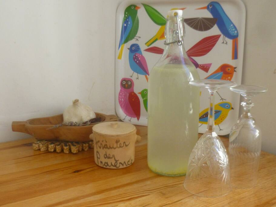 Home-made lemonade, anyone?