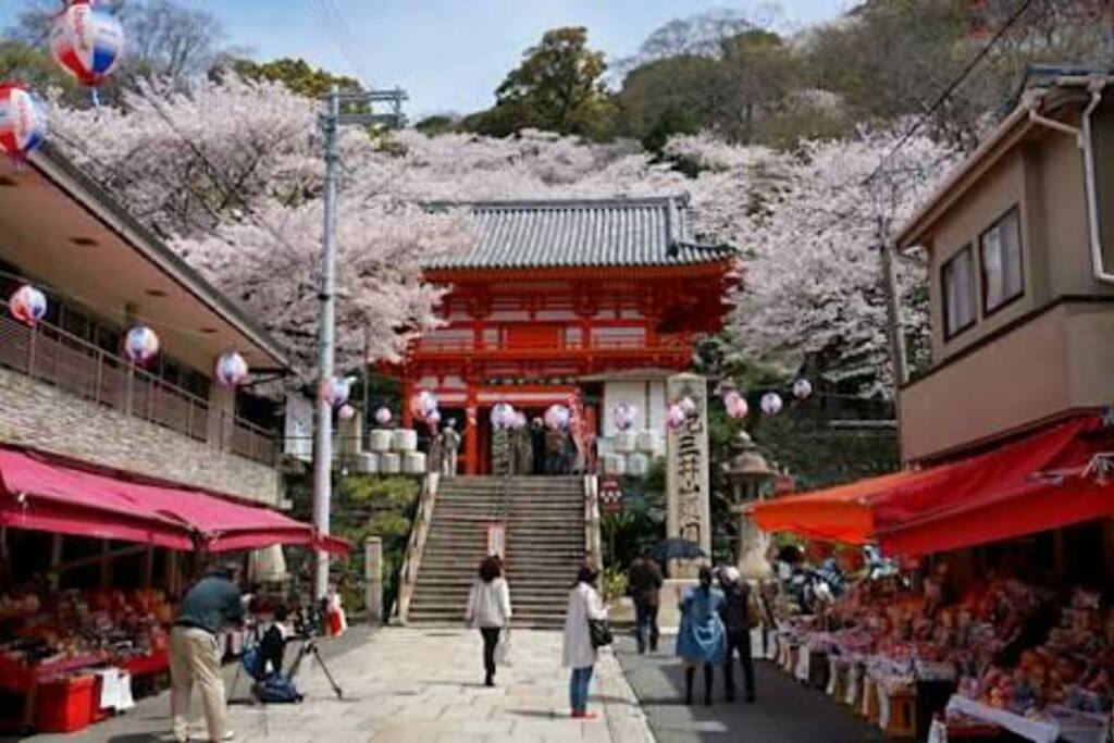 紀三井寺
Kimiidera
15 minutes on foot
http://www.kimiidera.com/pdf/english.pdf