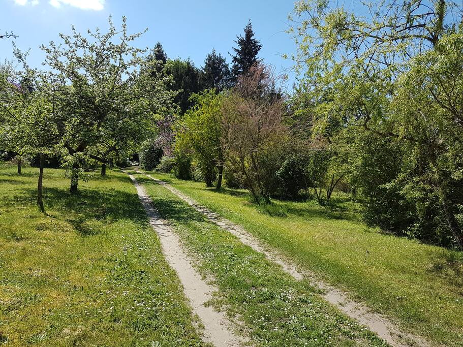 Une partie du jardin
