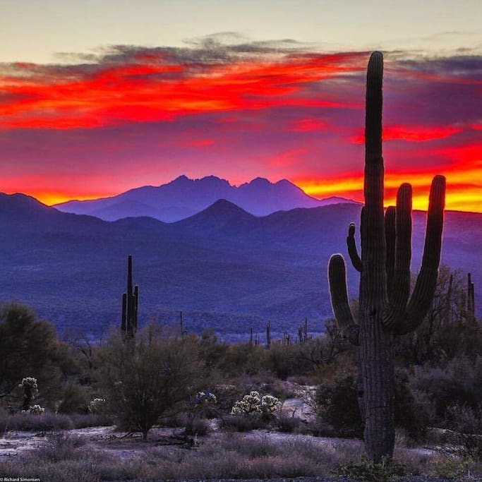 Best sunsets are in Tucson!