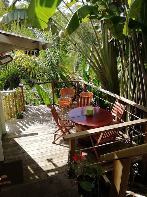 Comme une cabane dans la jungle