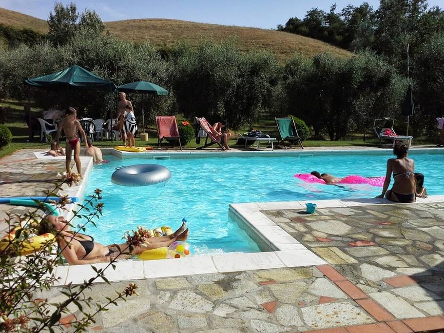 The pool