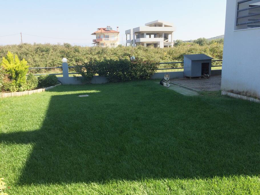 Front Garden