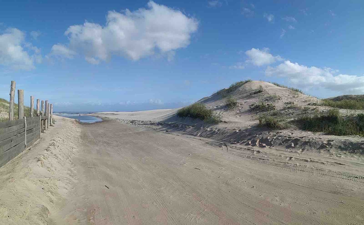 A sandy path leads through a beach landscape, bordered by tufts of grass and wooden posts. Dunes rise gently in the background under a bright blue sky with scattered clouds, while a calm body of water reflects the surroundings to one side.