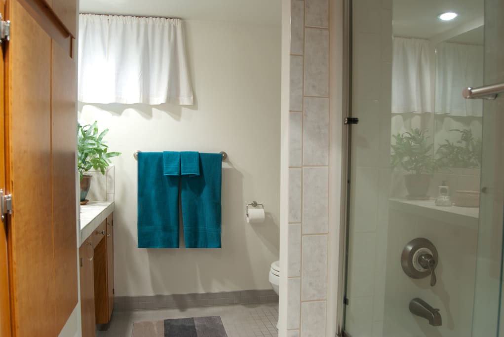 Bath with tub/shower & large vanity