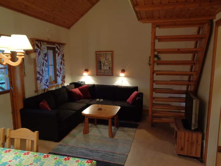 غرفة معيشة بسرير أريكة. 