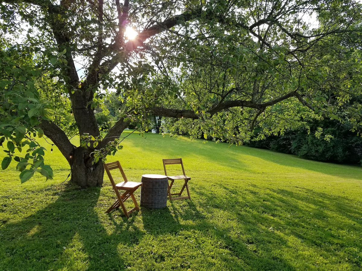 A serene outdoor seating area is framed by a large tree, with two wooden chairs positioned beside a round table. Sunlight filters through the leaves, casting dappled shadows on the lush green lawn that gently slopes in the background.
