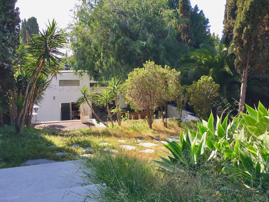Down View from Garden