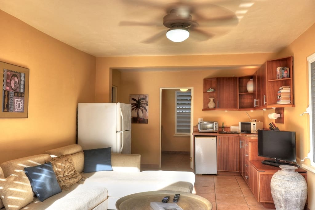 Living room/kitchenette