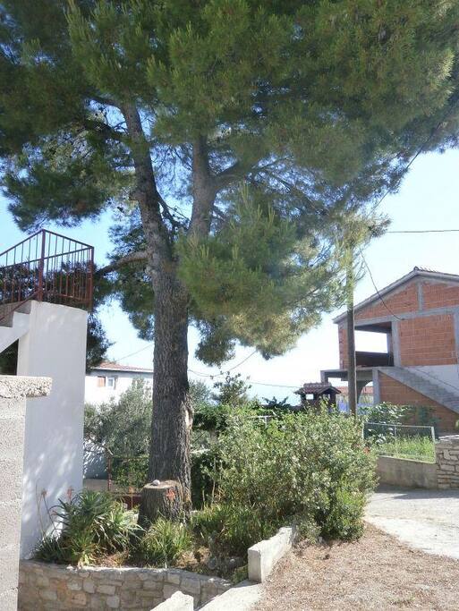 courtyard
