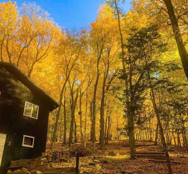 Perch Lake Holiday Rentals & Homes St. Joseph, WI Airbnb