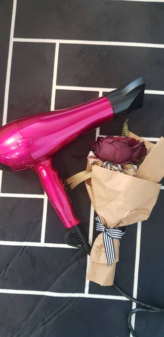 Hair dryer