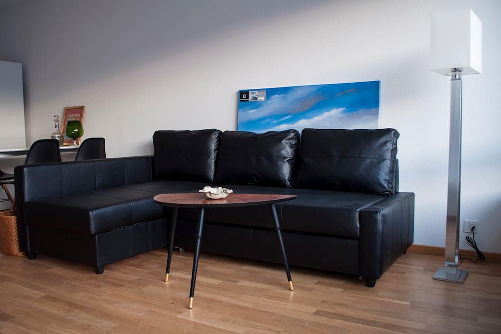 Bedsofa in front of large TV