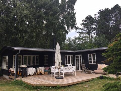 Cottage: Year-round, close to beach, bright & spacious