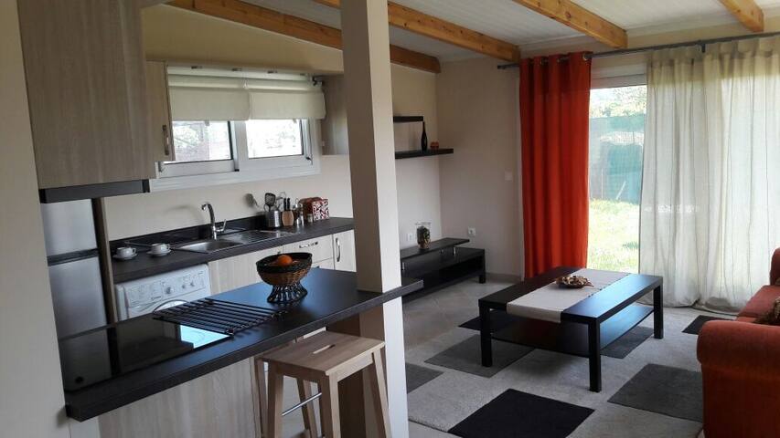 Green Garden Cozy House