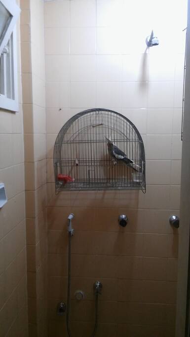 Banheiro do quarto de empregada