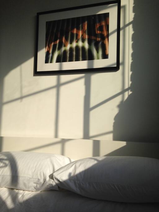 Sun filled wake up