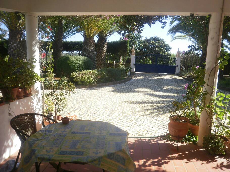 Come on in and enjoy our small piece of paradise