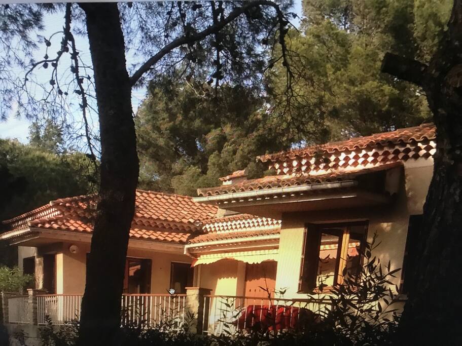 MAISON AU CALME ET SOUS LES PINS