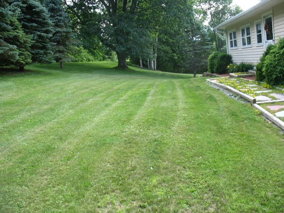 Front Lawn