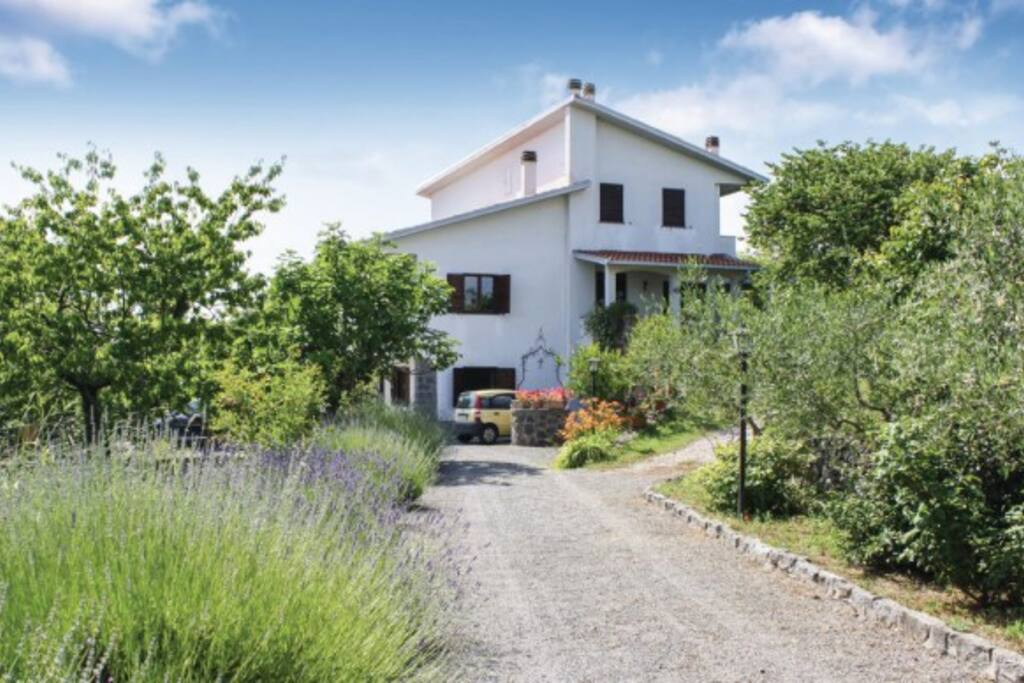 Viale di accesso
