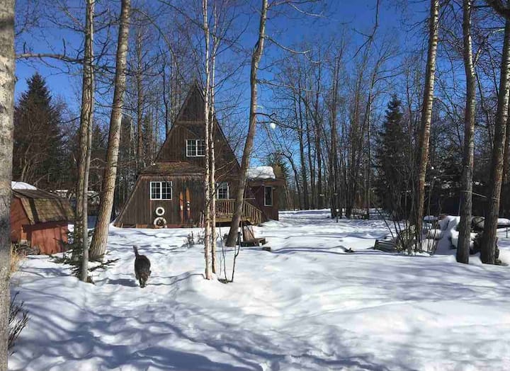 Gull Lake locations de vacances et logements Alberta, Canada Airbnb