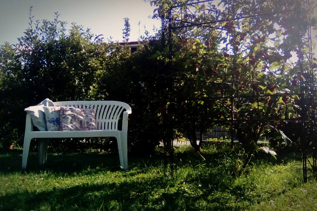 Piccolo scorcio del nostro giardino