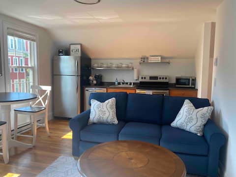 Successful Airbnb property: Extraordinary 1-Bedroom Apartment in South Boston! in South Boston