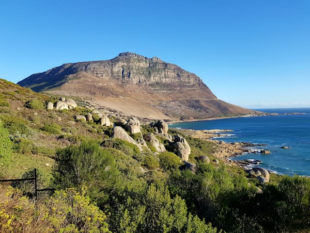 Sunset Paradiso gallery image 2