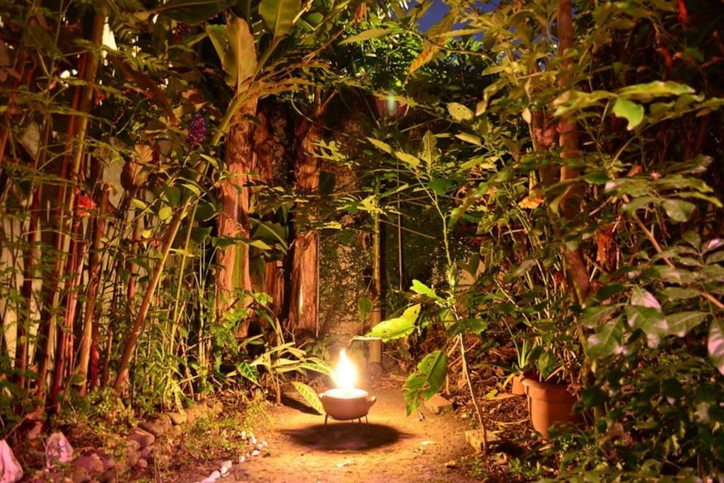 Come unwind in our lovely green garden