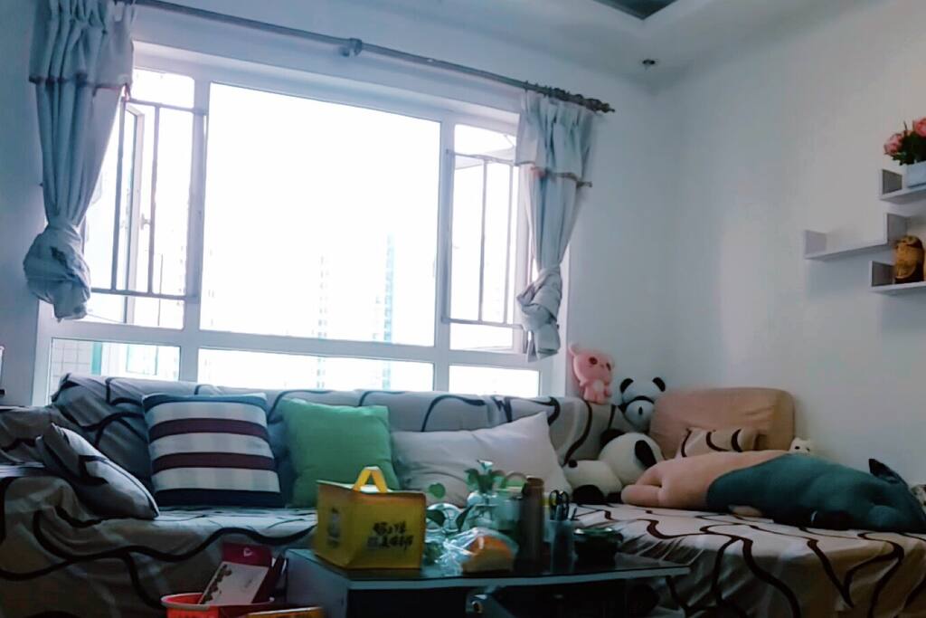 用爱心装饰的客厅,明媚的阳光,舒适的沙发……