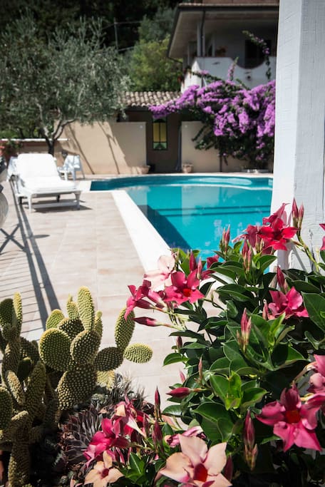 Particolare della piscina