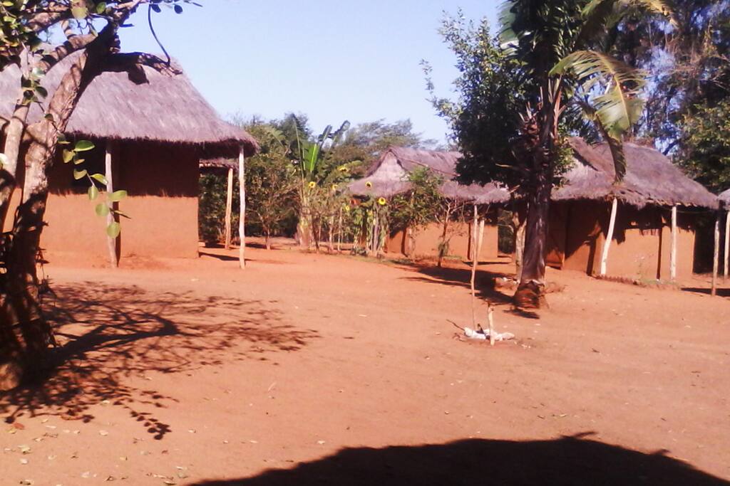 Nos 5 bungalows aux couleurs locales