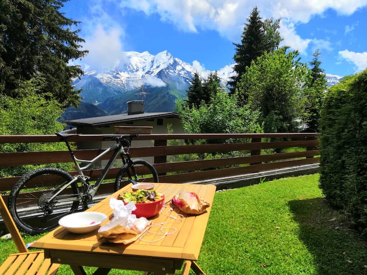 4/6 pers view MontBlanc, garden, 50m from the slopes Apartments for
