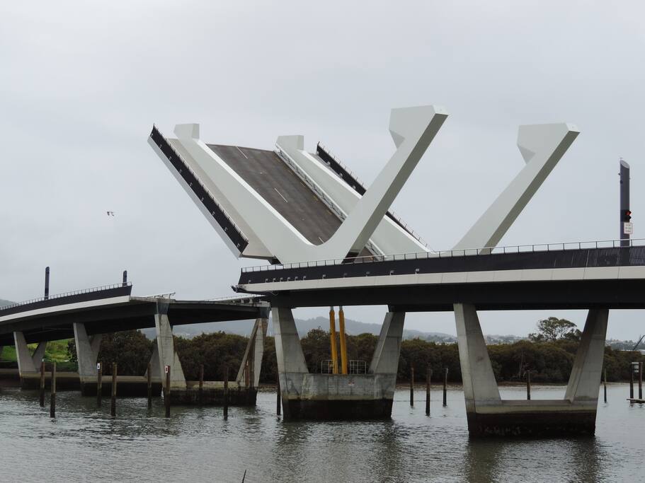 Te Matau a Pohe - one of our harbour bridges!