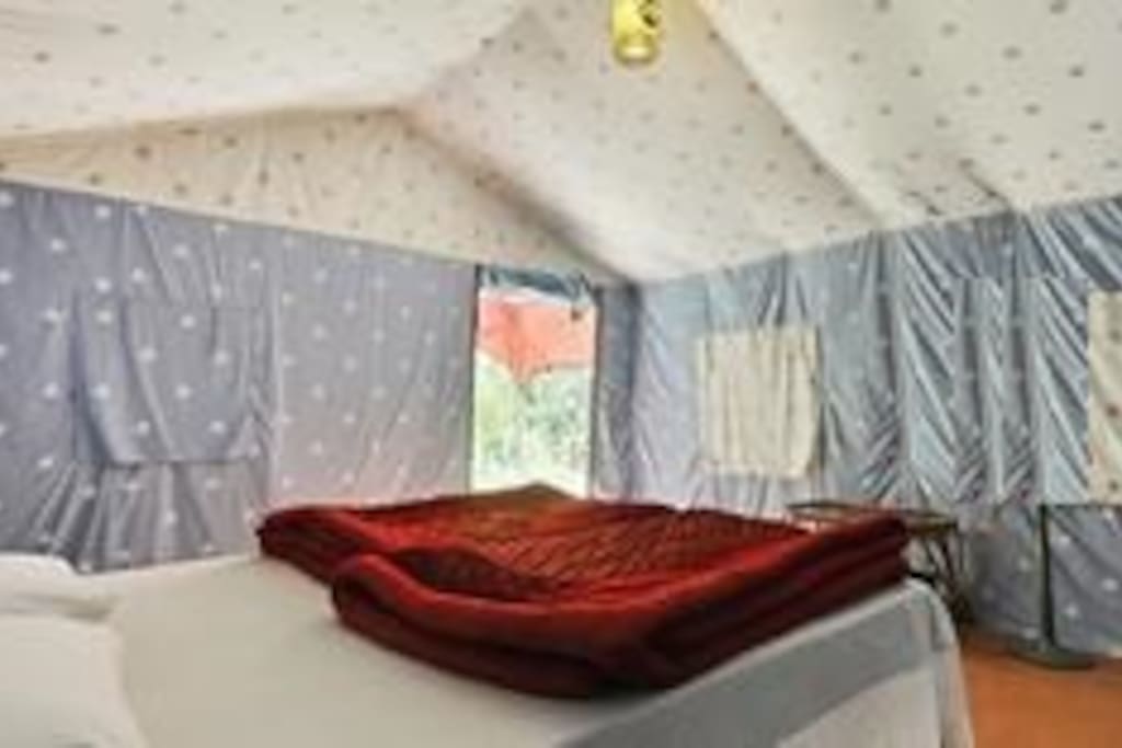 interior tent 1
