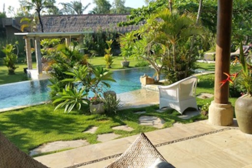 Relax at the pool and the lush grean gardens