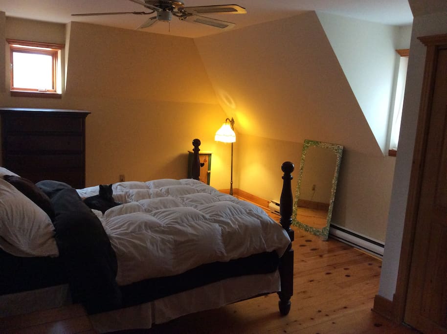 One of 4 bedrooms, Cat not included.