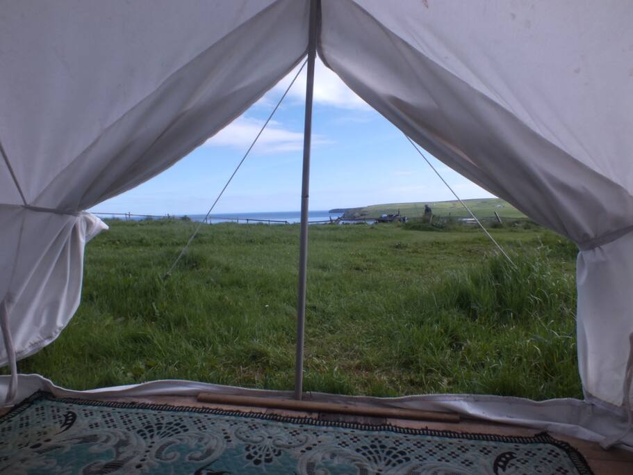 Wheems Bell Tent 1