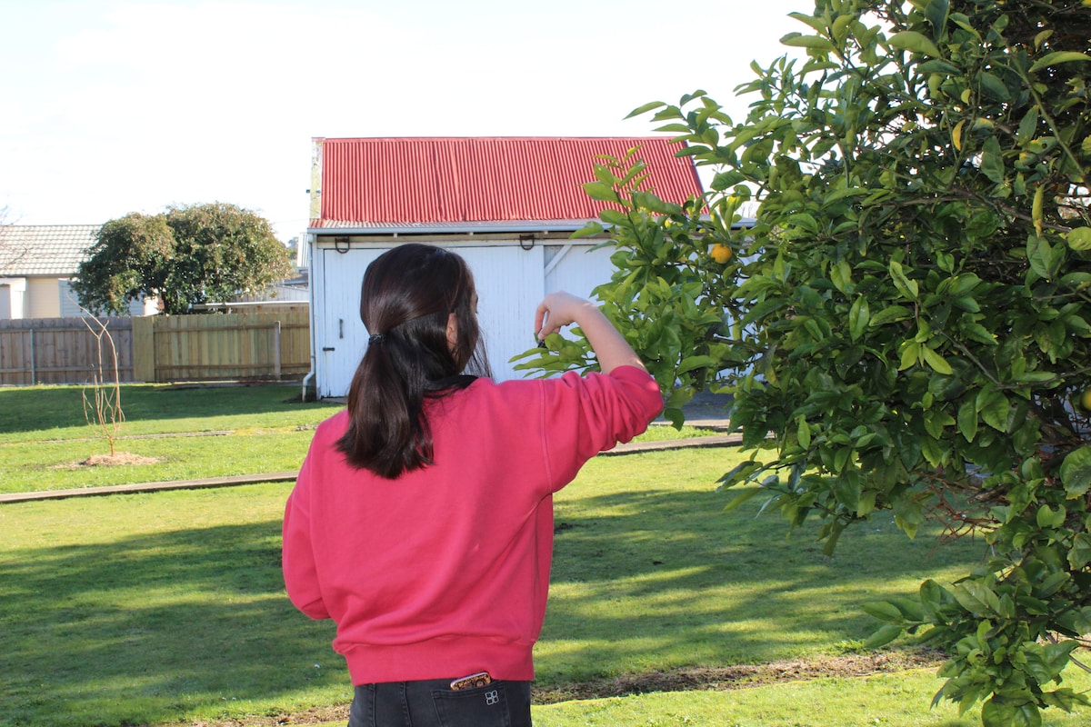 A person in a red sweater reaches towards a fruit-laden tree in an expansive green garden. A white shed with a red roof is visible in the background, framed by a clear sky. The scene conveys a sense of outdoor enjoyment and accessibility to the garden's produce.