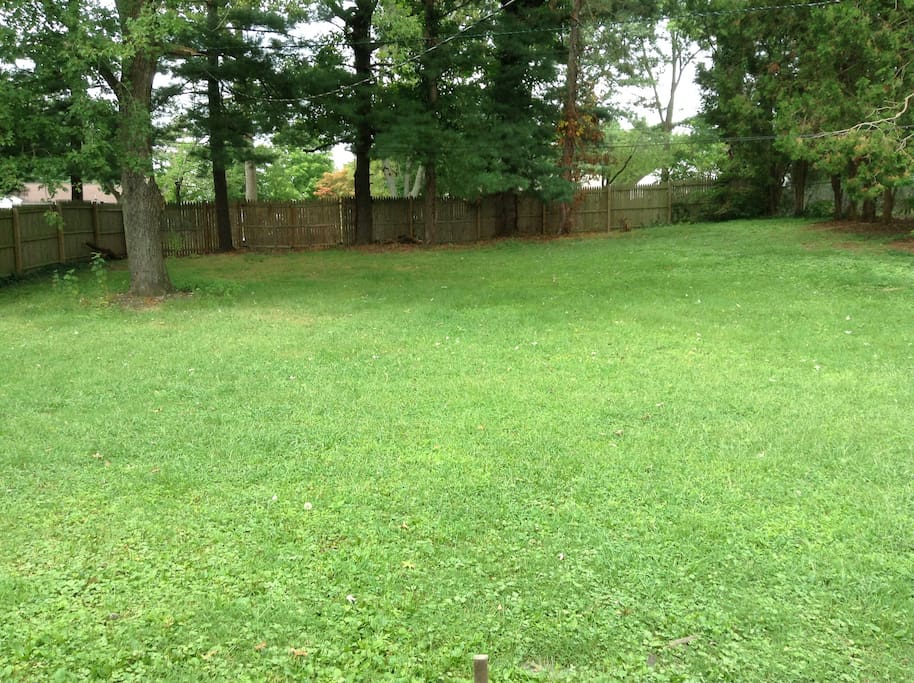 HUGE backyard for relaxation and family fun!