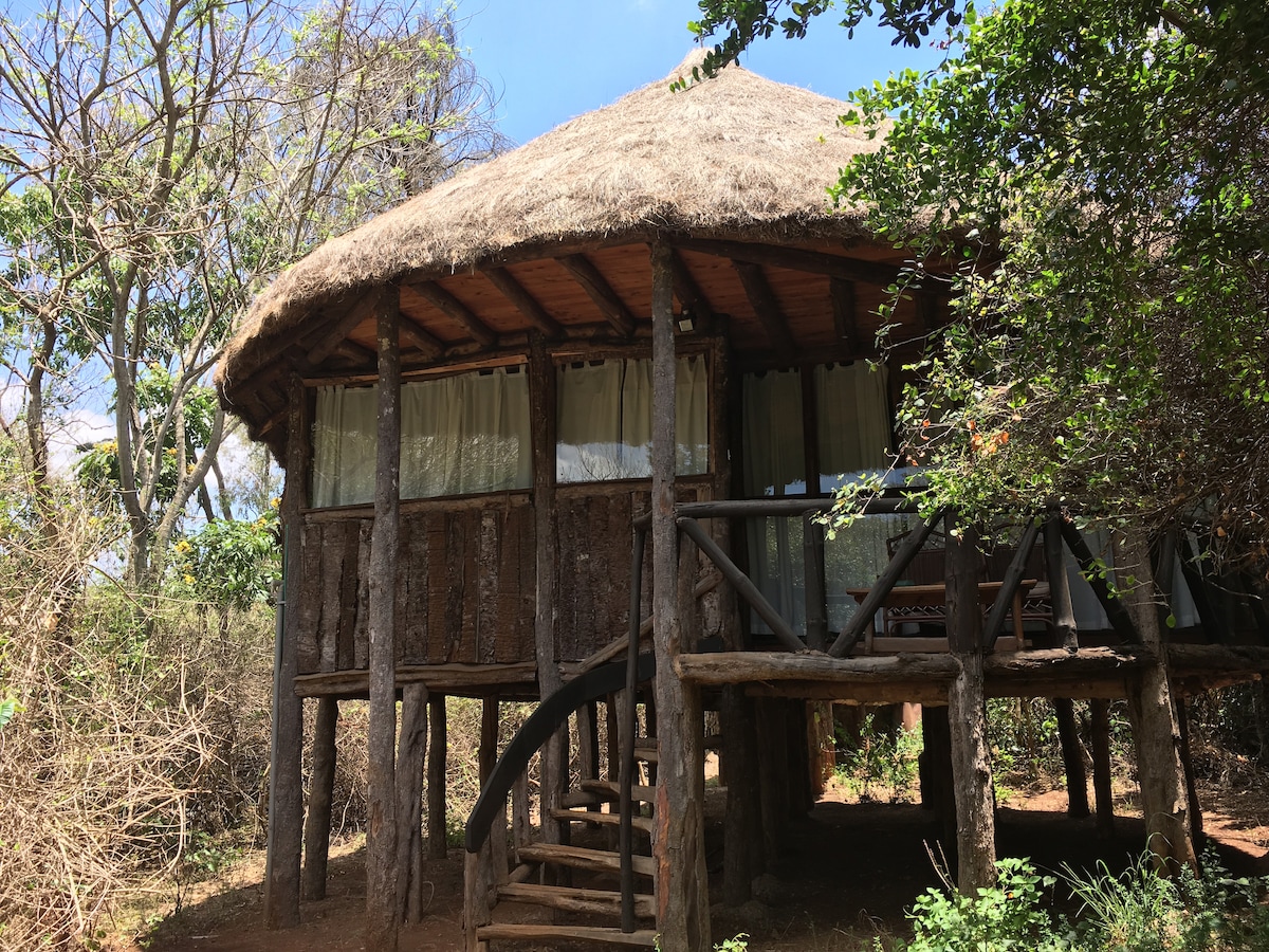 A circular tree house is constructed with wooden beams and a thatched roof. The elevated structure features large windows covered with flowing sheer curtains. A wooden railing surrounds a spacious terrace, and a spiral staircase leads to the ground below, surrounded by lush greenery and trees.