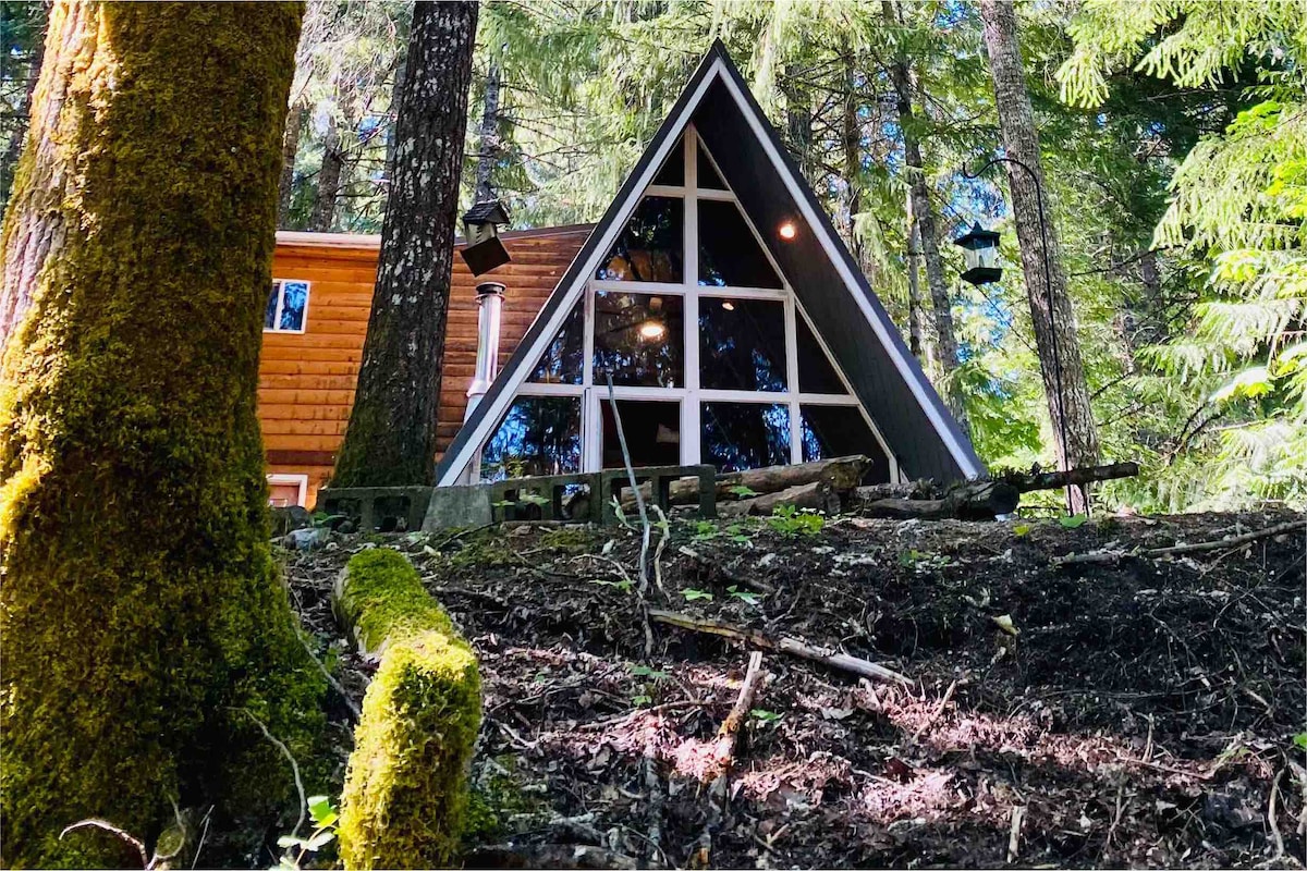 An A-frame cabin is nestled among tall trees, showcasing large glass windows that reflect the natural surroundings. The structure's triangular shape harmonizes with the forest, and a path leads through the underbrush, indicating accessible entry to the inviting dwelling.