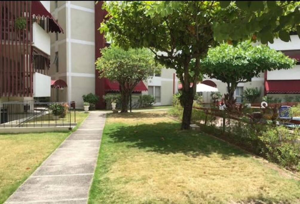 Walkway to Building