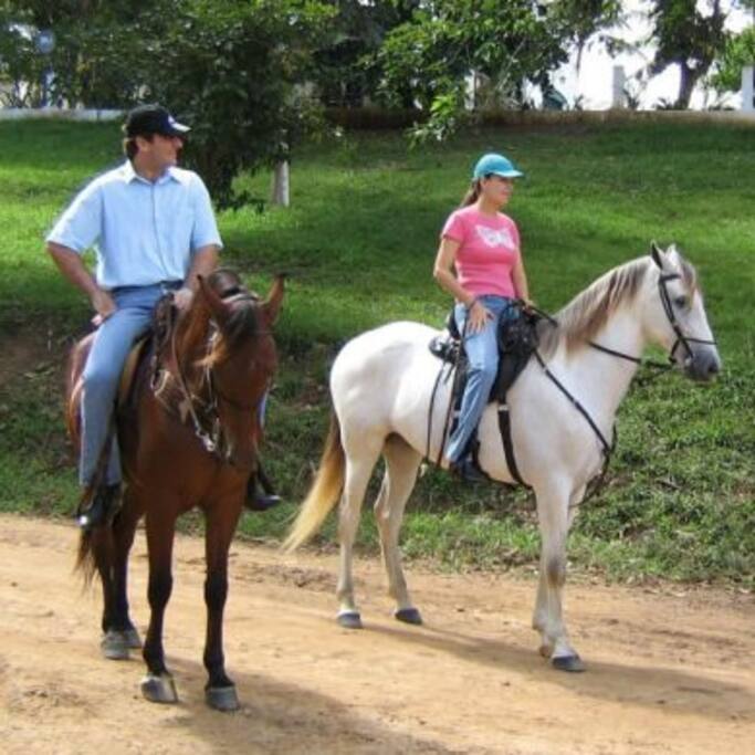 passeio a cavalo