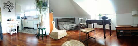 Popular Airbnb listing: Beautiful apartment Quartier de l 'Orangerie in Orangerie Conseil Des Xv
