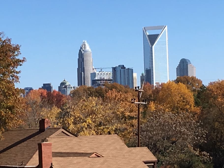 Charlotte Skyline from back yard