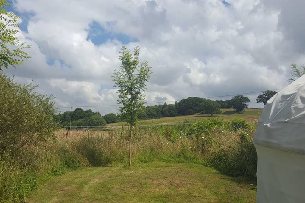 View from one of our yurts
