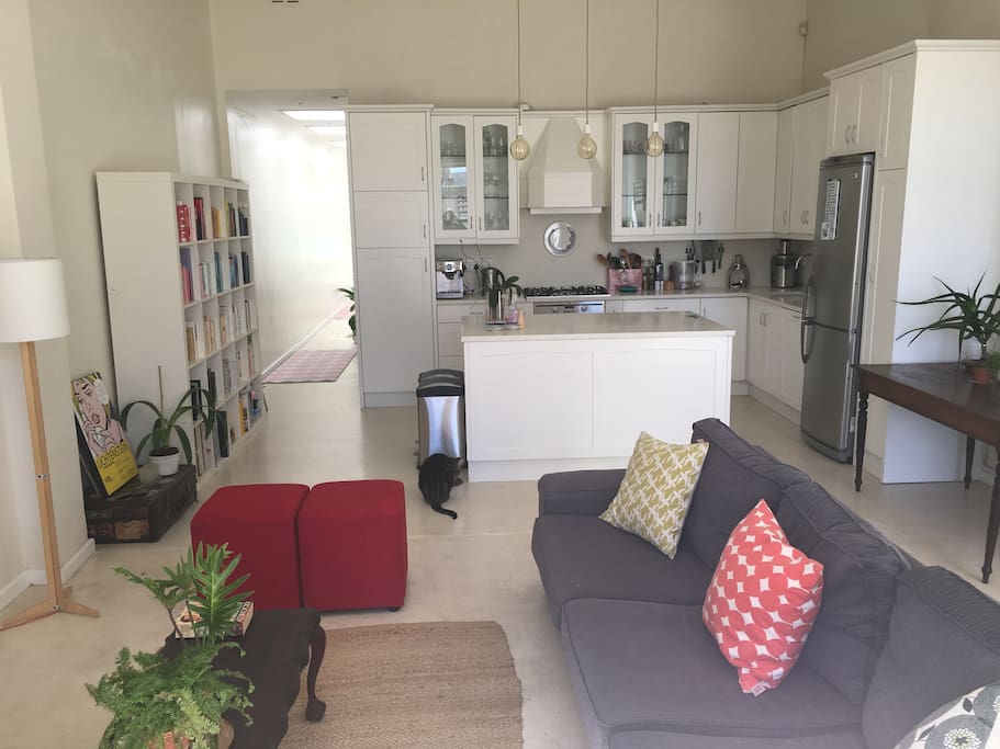 Sunny open-plan lounge to kitchen. We love our space! Cat not included :)